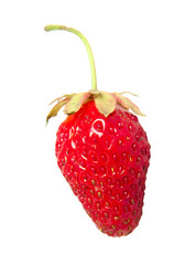 Similar image 1387641