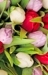 Similar image 1387642