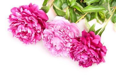 Similar image 1387644