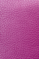 Similar image 1387646