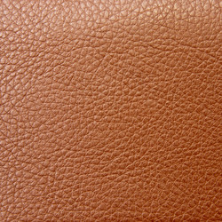 Similar image 1387647