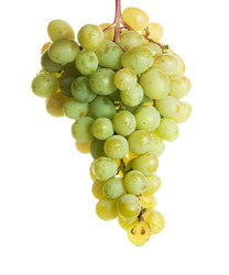 Similar image 1387650