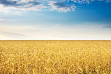 Similar image 1387655