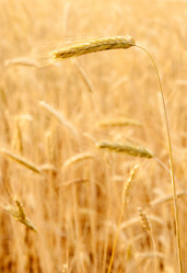 Similar image 1387656