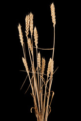 Similar image 1387658