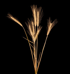 Similar image 1387659