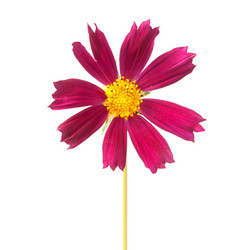 Similar image 1387667