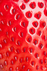 Similar image 1387670