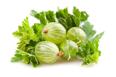 Similar image 1387673