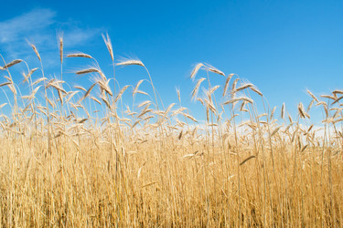 Similar image 1387677