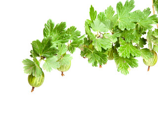 Similar image 1387681