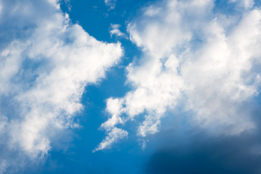 Similar image 1387684