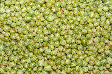 Similar image 1387687