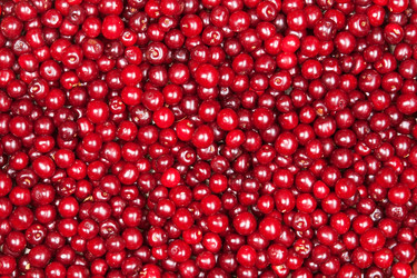 Similar image 1387688