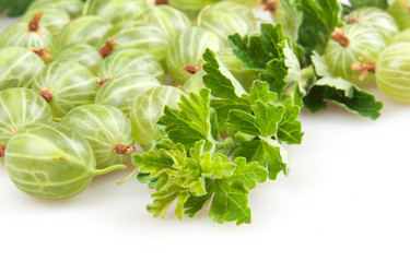 Similar image 1387689