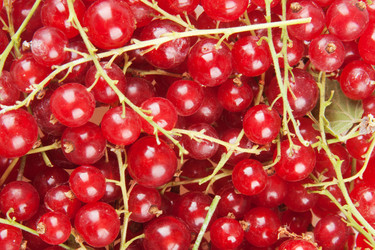 Similar image 1387692