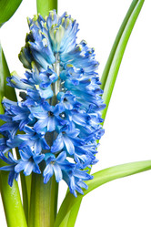 Similar image 1387693