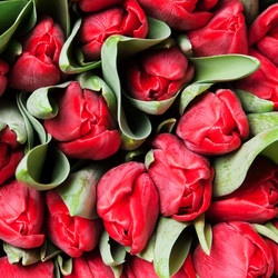 Similar image 1387695