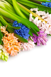 Similar image 1387698