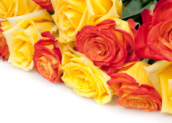 Similar image 1387700