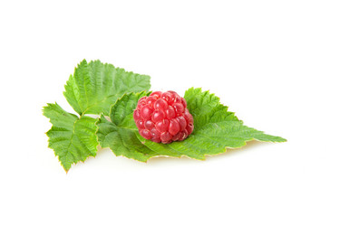 Similar image 1387701