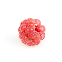 Similar image 1387706