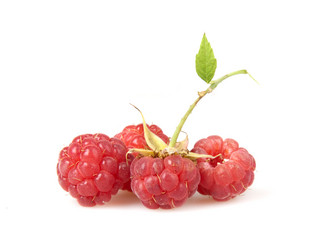 Similar image 1387707