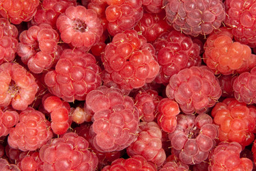 Similar image 1387710