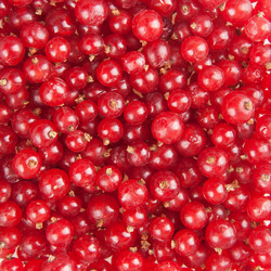 Similar image 1387712