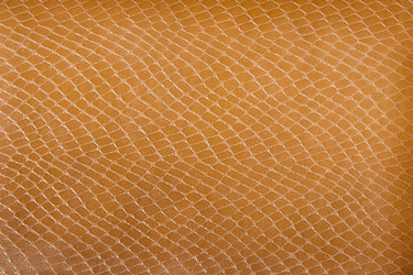 Similar image 1387714