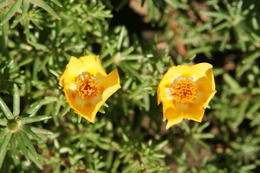 Similar image 1387725