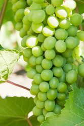 Similar image 1387726