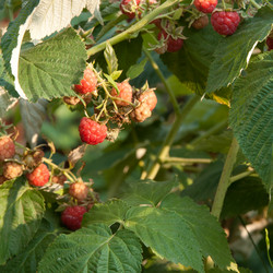 Similar image 1387732