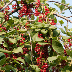 Similar image 1387743