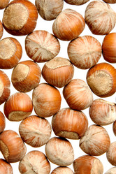 Similar image 1387744