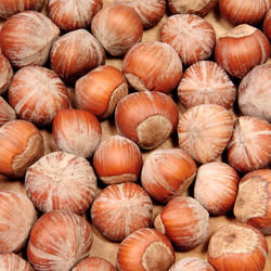 Similar image 1387746