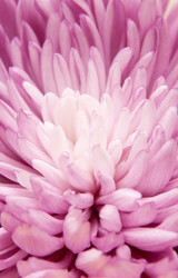 Similar image 1387753