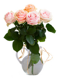 Similar image 1387764