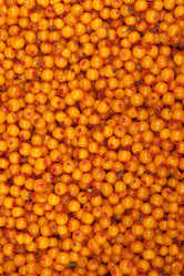 Similar image 1387775