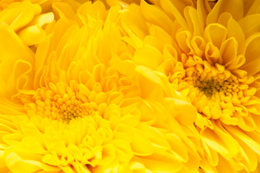 Similar image 1387777