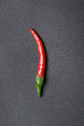 Similar image 1387781