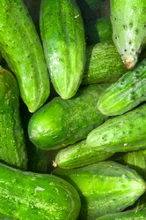 Similar image 1387782