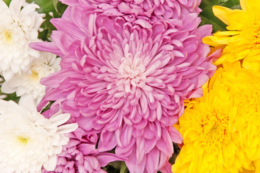 Similar image 1387783