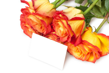 Similar image 1387784