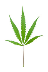 Similar image 1387785