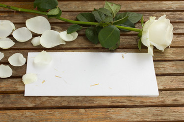 Similar image 1387789