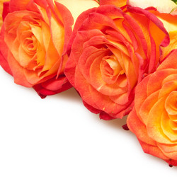 Similar image 1387792