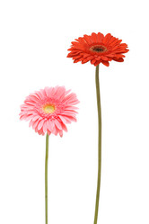 Similar image 1387801