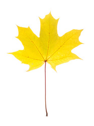 Similar image 1387804