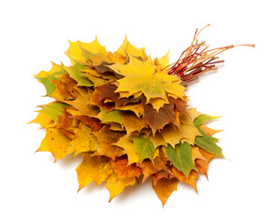 Similar image 1387805